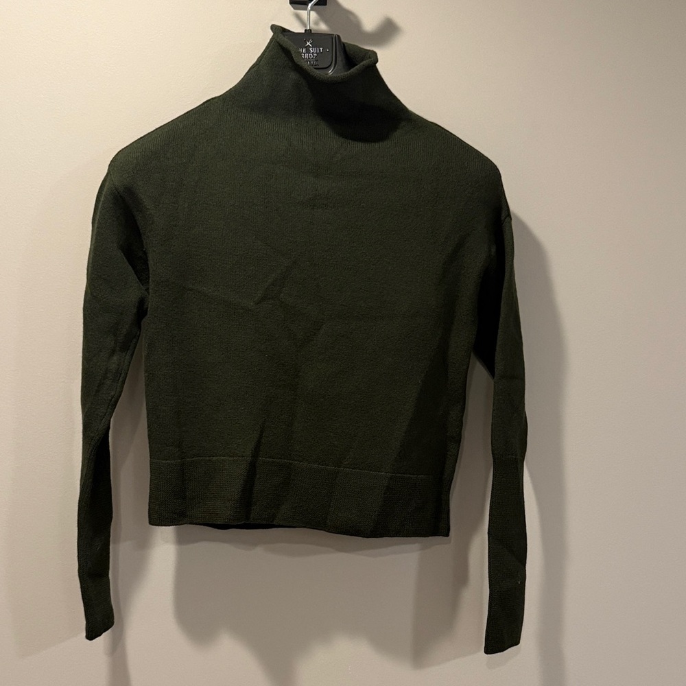 Wilfred Dark Green Turtleneck Sweater